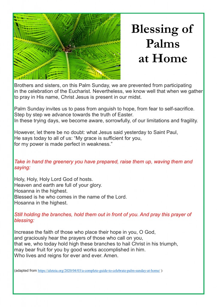 Home Blessing Of Palms